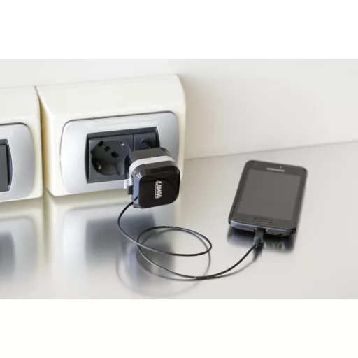 Lampa Hálozati Töltő, Micro Usb, 1 USB port, 2.4A 100/230V