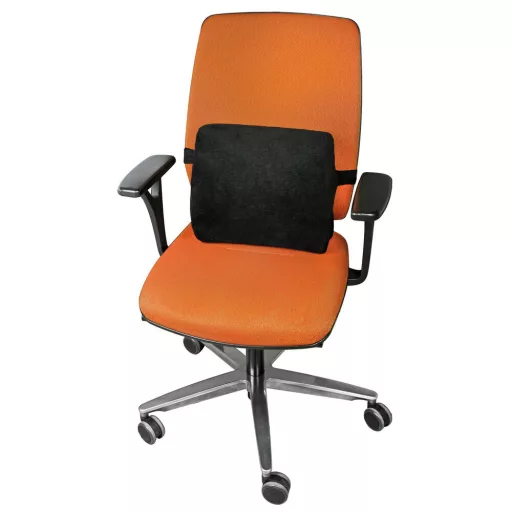 Lampa Deréktámasz, Memória Habos, Fekete