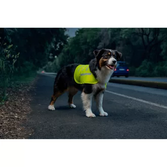 Lampa Biztonsági Mellény Kutyáknak - XL