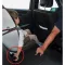 Baby Guard, biztonsági öv riasztó Gyermekvédelem