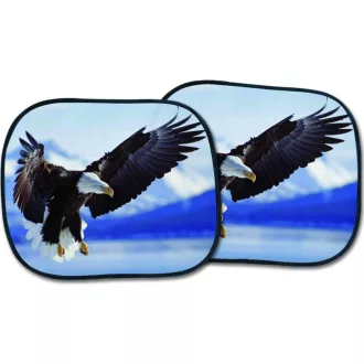 NAPVÉDŐ OLDALRA PÁRBAN SAS 2DB EAGLE