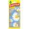 Wunderbaum Trees, Daisy