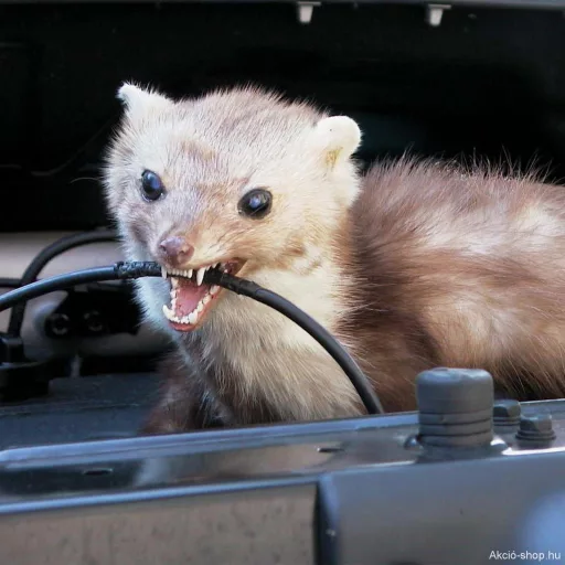 Nyestriasztó - mobilis,háznál is