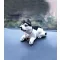 MaxSpeed Bólogató Kutya, Husky