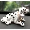 MaxSpeed Bólogató Kutya, Dalmata