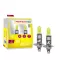 M-Tech Retro, H1 Izzó, 12V 55W, Párban